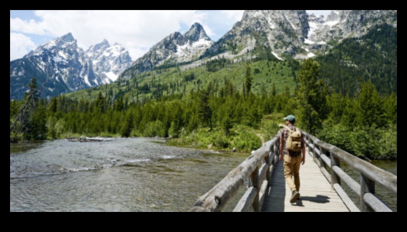 Eco-Friendly Expeditions: Hybrid Adventures for Nature Conservation