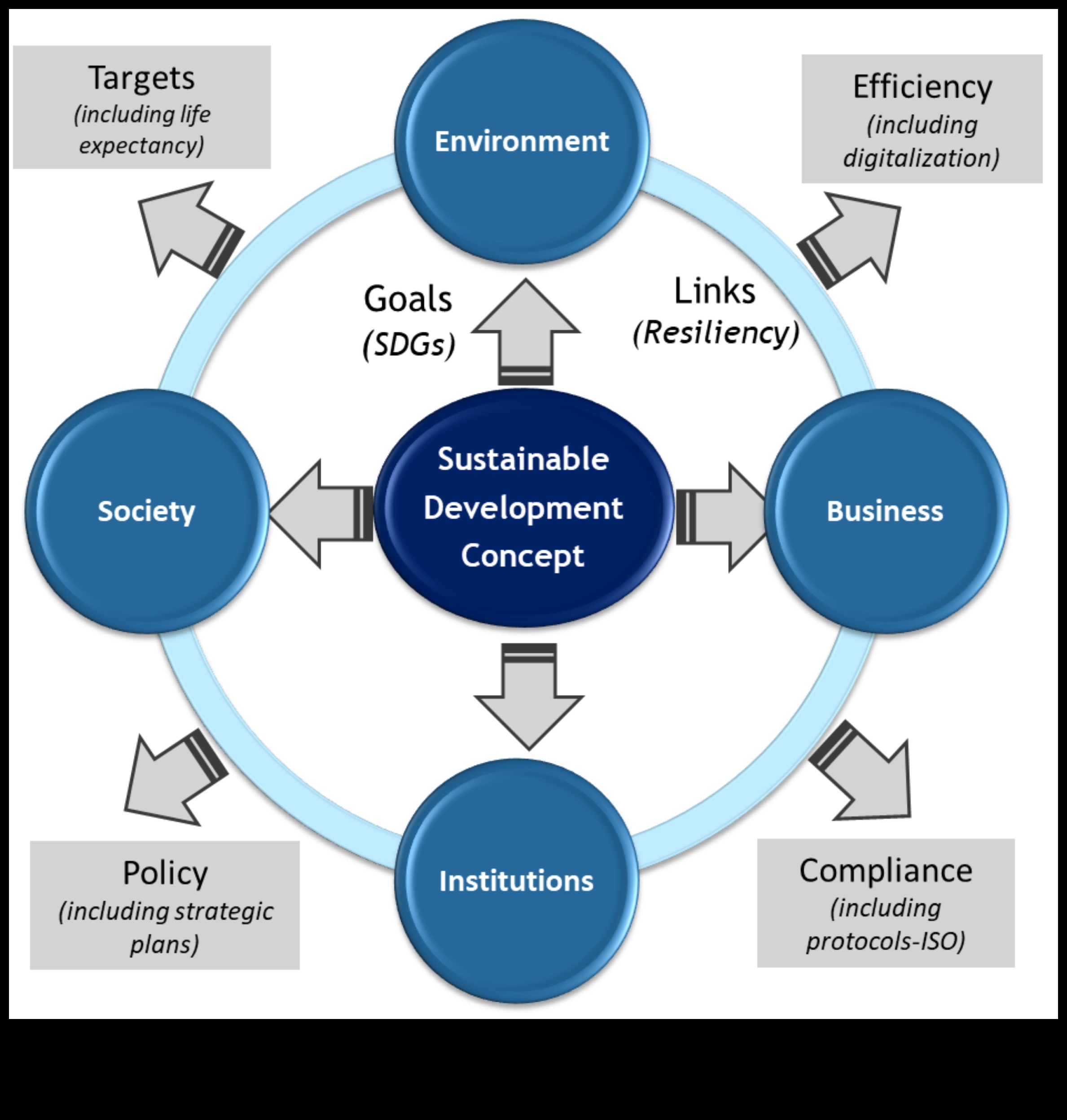 Strategies for Sustainable Growth: Business Wisdom in Modeling