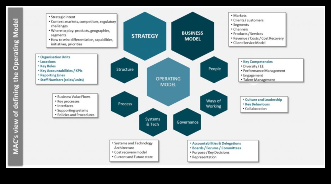 Συμβίωση επιχειρηματικής ανάπτυξης: ευθυγράμμιση στρατηγικής και εκτέλεσης