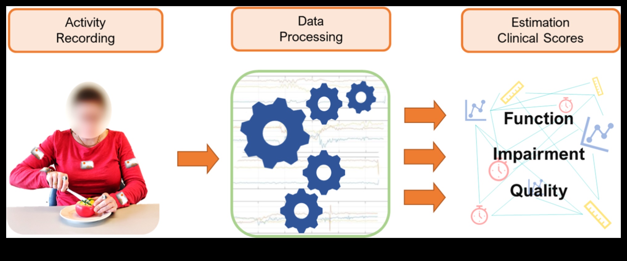Injury to Insight: Navigating Rehabilitation with Precision