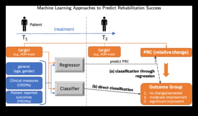 Injury to Insight: Navigating Rehabilitation with Precision