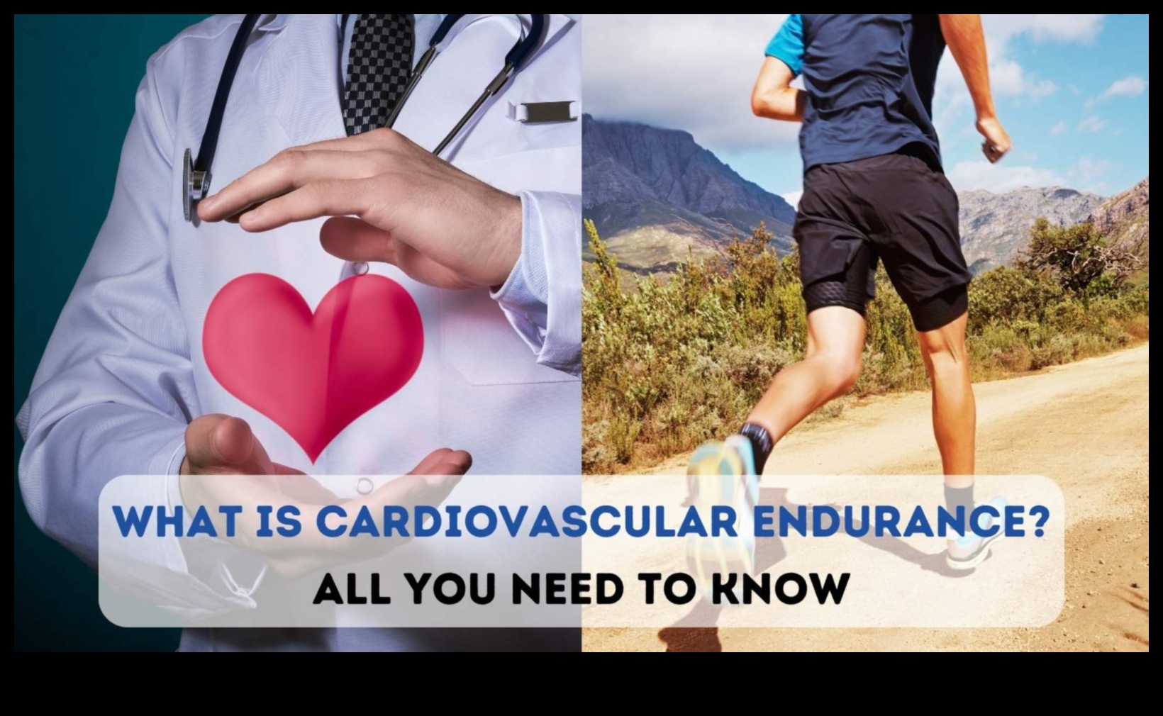 Journey to a Stronger Heart: Cardiovascular Wonders που αποκαλύφθηκαν