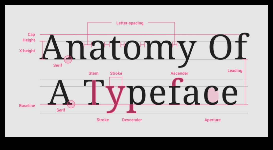 Typography Triumphs: Elevating Design with Text and Principles