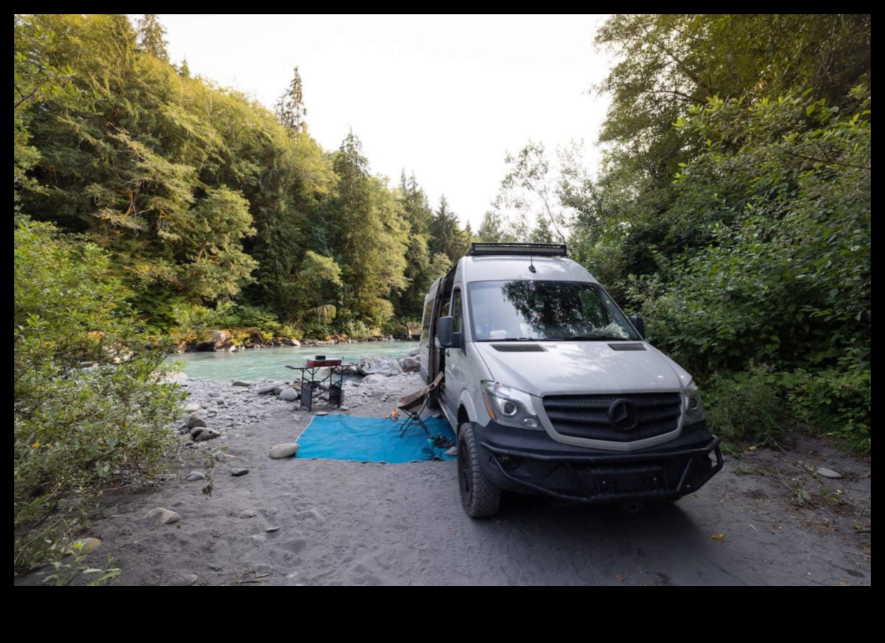 Eco-Friendly Expeditions: The Green Side of Van Travel