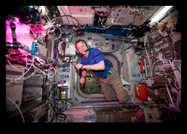 Τροχιακή Ευφορία Η ευδαιμονία της έλλειψης βαρύτητας στο διάστημα