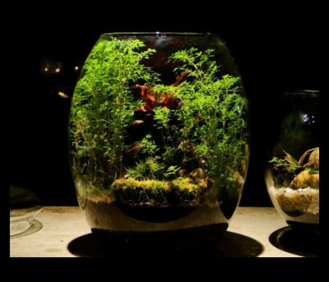 Cityscape Serenity: Urban Outdoor Workouts για Ψυχική Ευεξία