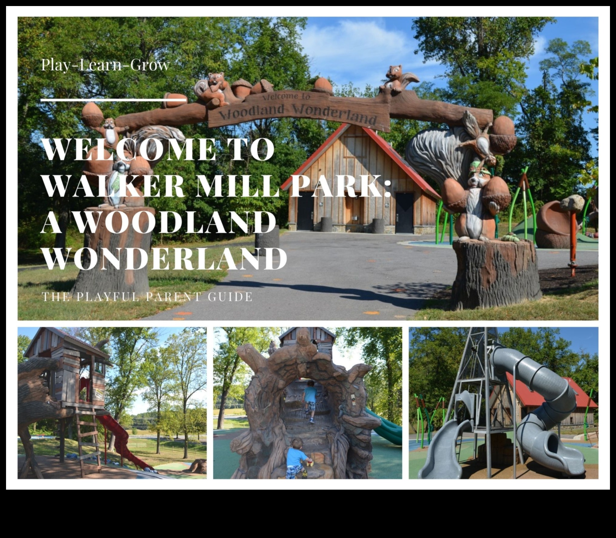 Wooded Wonderland: Outdoor Workouts in Enchanting Forests