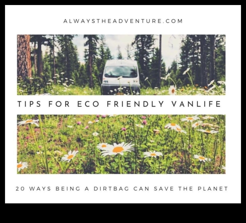 Eco-Friendly Expeditions: The Green Side of Van Travel
