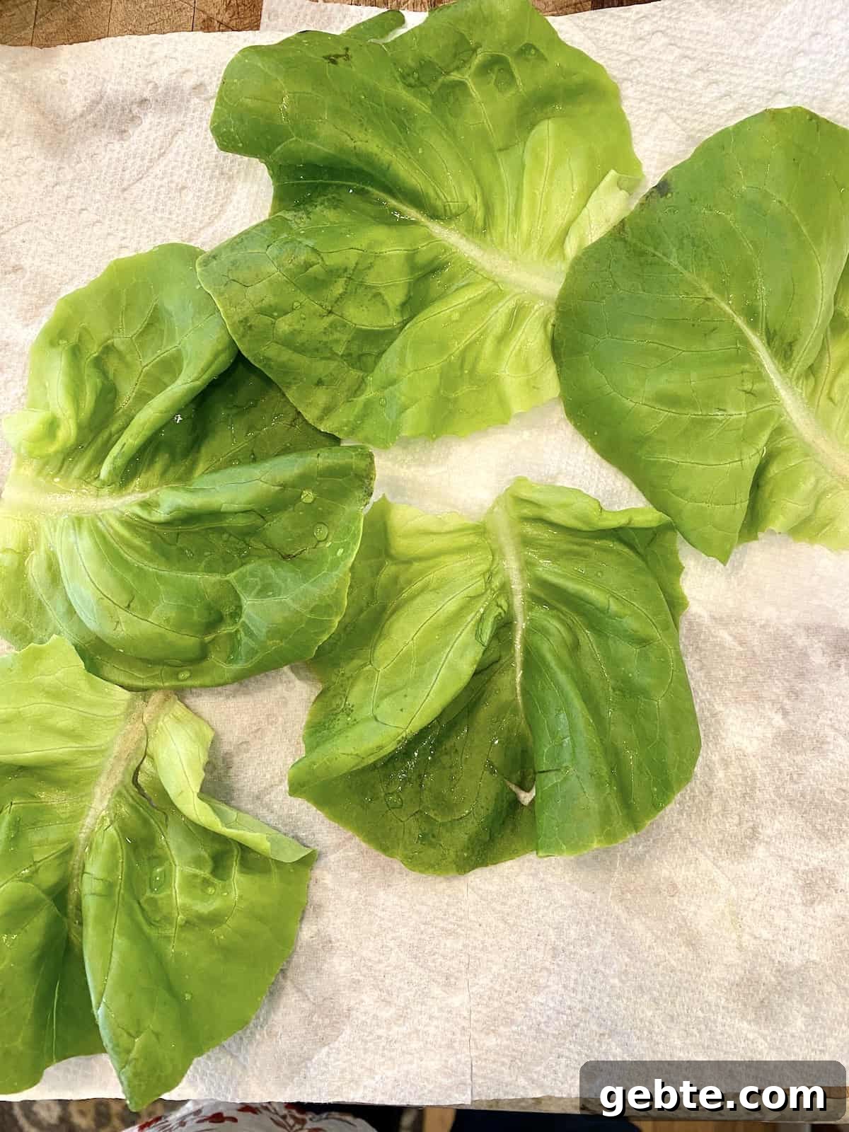 Butter lettuce leaves arranged on a paper towel. 