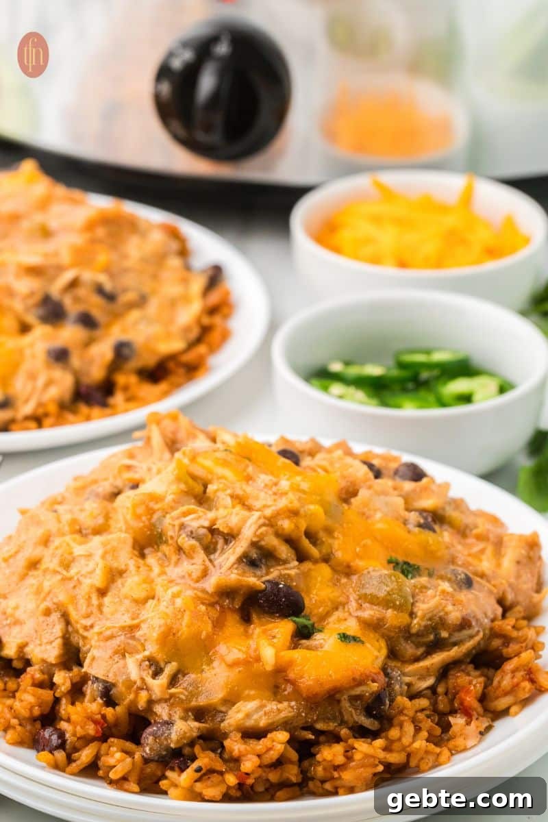 a plate of chicken slow cooker enchiladas.