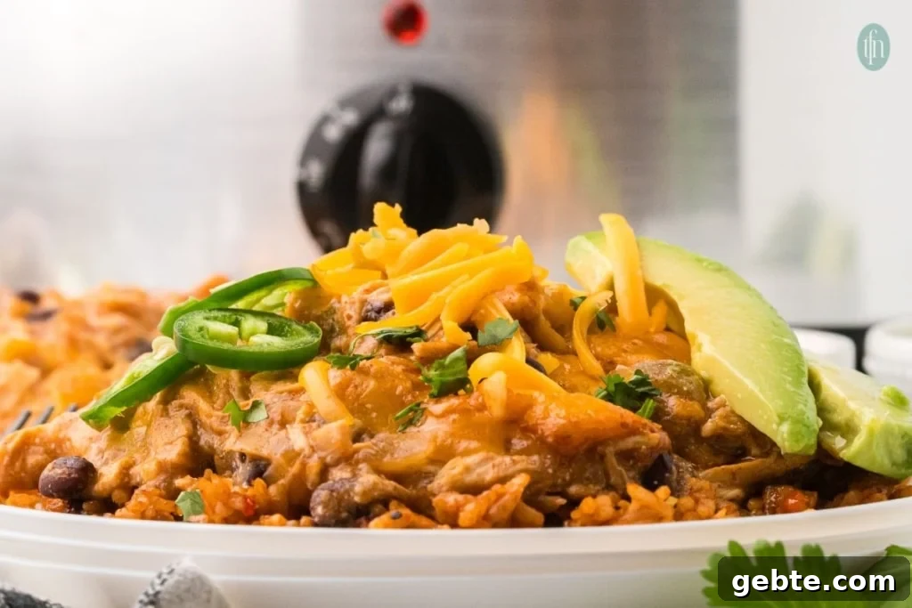 a plate of crockpot chicken enchiladas.