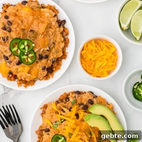 two plate of chicken slow cooker enchiladas.