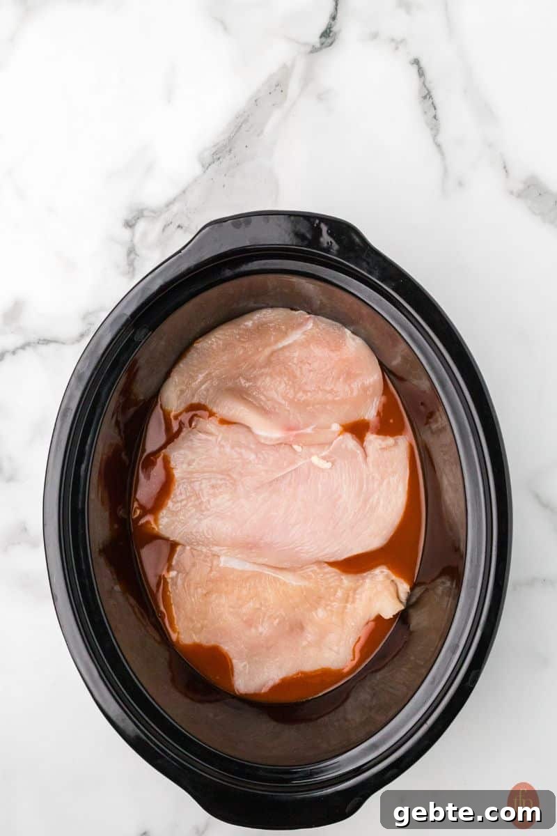chicken breast with enchilada sauce.