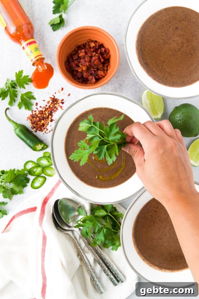Velvety Black Bean Soup with Cilantro Lime Cream 8 Creamy Black Bean Soup with parsley - an easy Black Bean Soup Recipe!