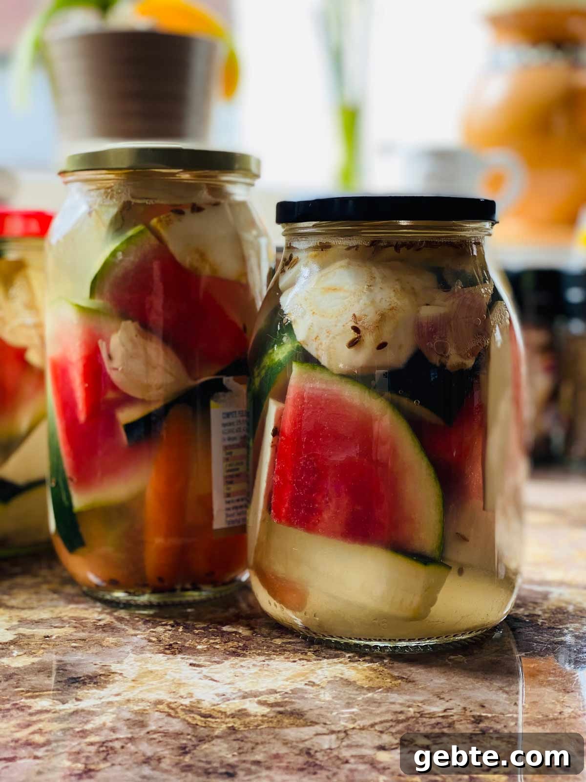 Tangy Pickled Watermelon Rind Recipe for Summer Snacks 5 Watermelon slices in jars pickling