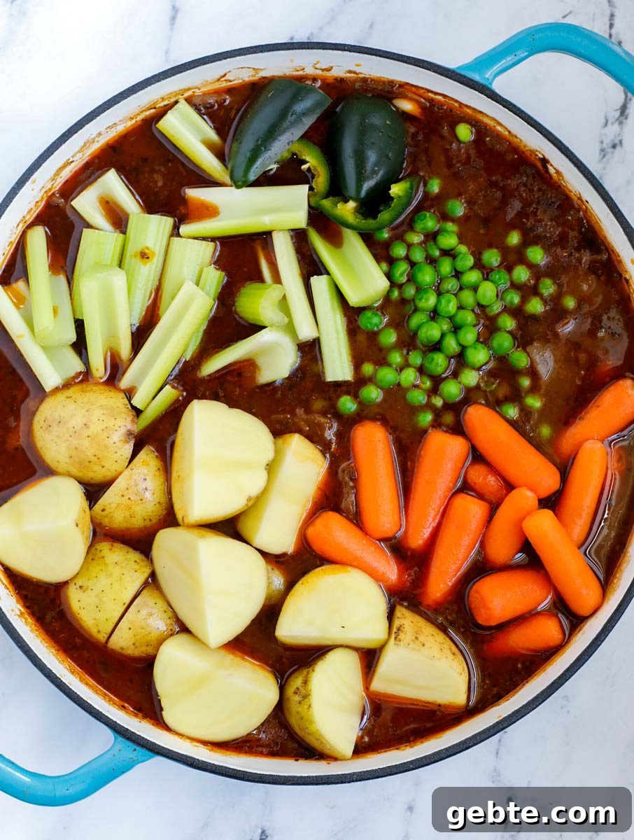 Hearty Oven-Braised Beef Stew Recipe for Comforting Dinners 9 veggies added into the beef stew