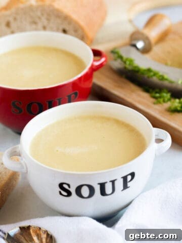 Two bowls of leek and potato soup made in a soup maker.