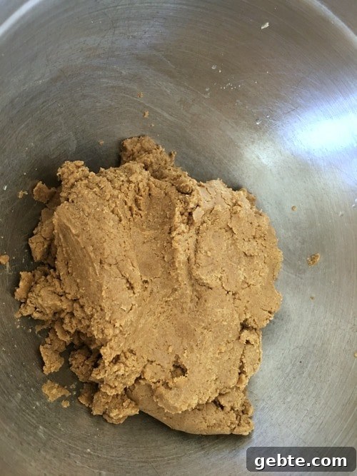 The gingerbread sugar cookie dough.
