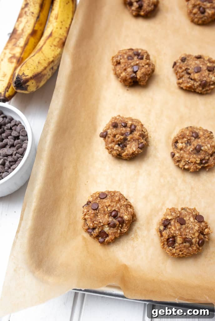 4-Ingredient Peanut Butter Banana Oatmeal Cookies - healthy enough to enjoy for breakfast! 4-Ingredient Peanut Butter Banana Oatmeal Cookies - healthy enough to enjoy for breakfast!