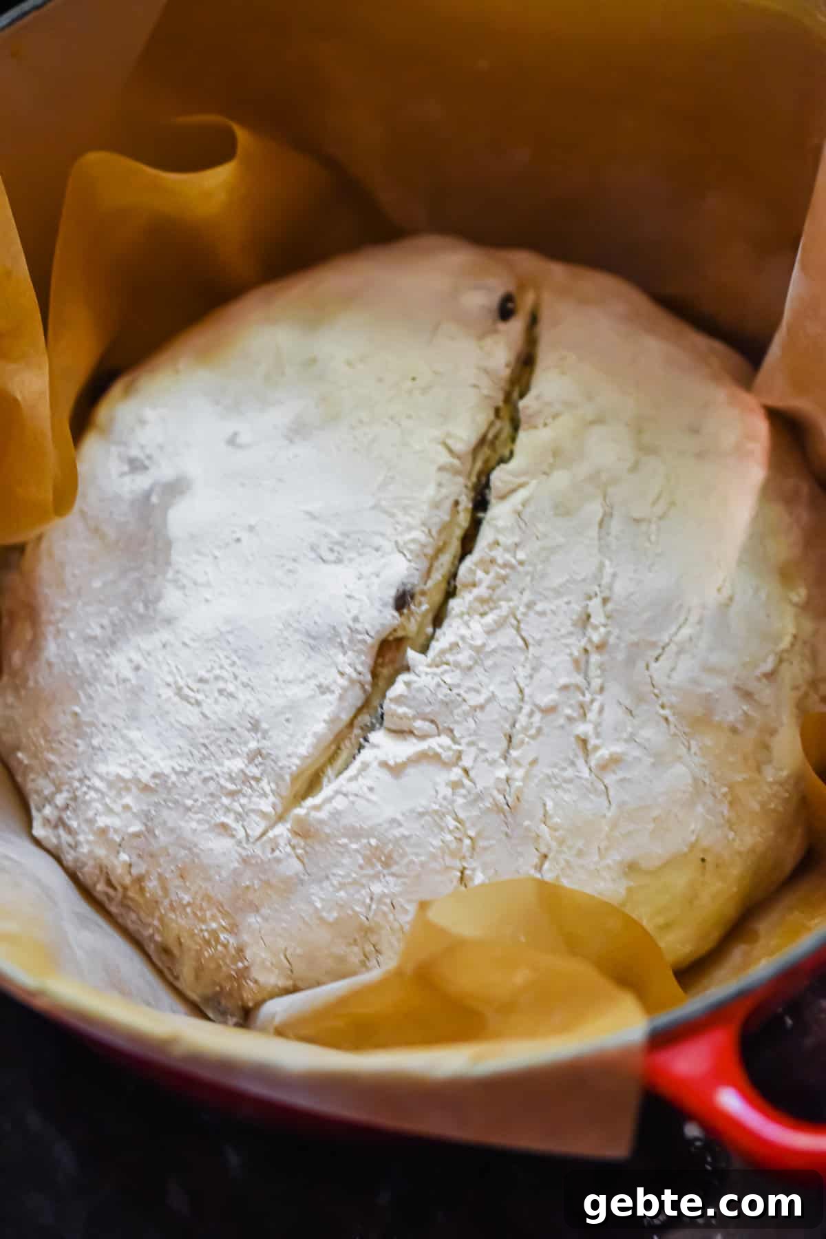 A slit is made in the dough of the sourdough cinnamon raisin bread.