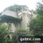 img 1232 1