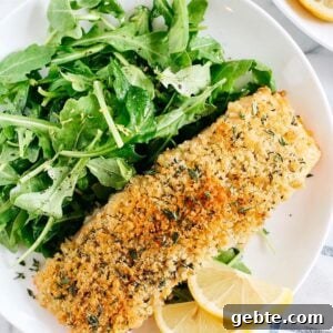 Hummus-Crusted Salmon with Lemon Arugula Salad Recipe 6 img 12623 5