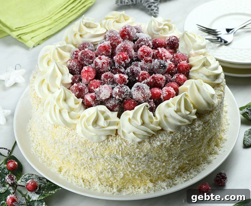 Whole White Chocolate Cranberry Layered Cake with Christmas decoration around.