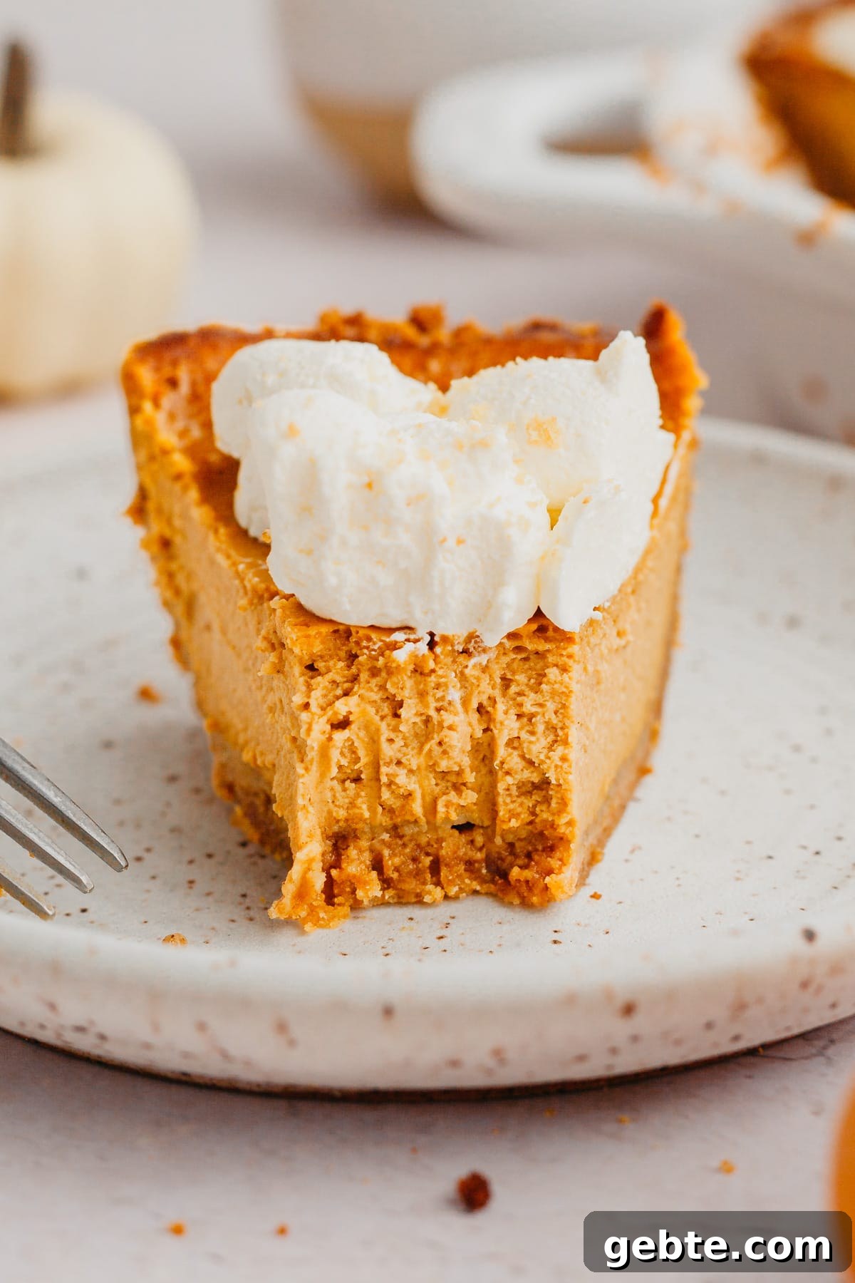 Graham Cracker Crust Pumpkin Pie Recipe for Autumn Celebrations 7 A slice of pumpkin pie with whipped cream, a bite has been taken out of it.