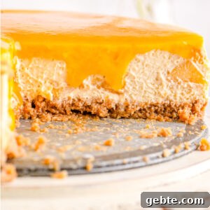 Creamy Peach Cheesecake Recipe with Fresh Peach Topping 11 The cheesecake cut into so you can see the interior texture.