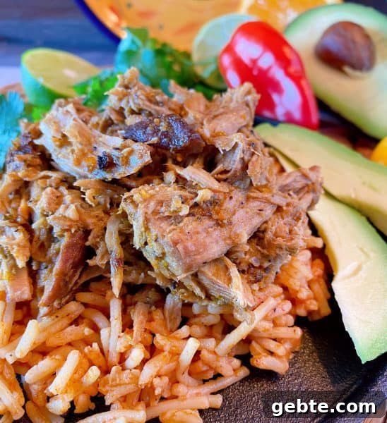 Pork Roast over spanish rice with toppings