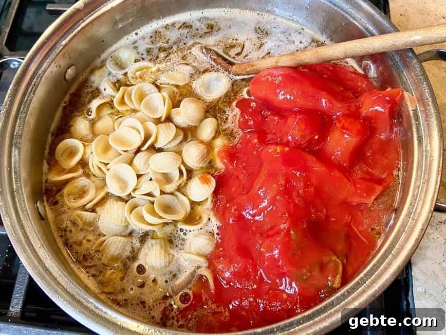 One-Pot Sausage and Meatball Pasta Skillet 10 Cooking pasta, beef stock, and tomatoes.