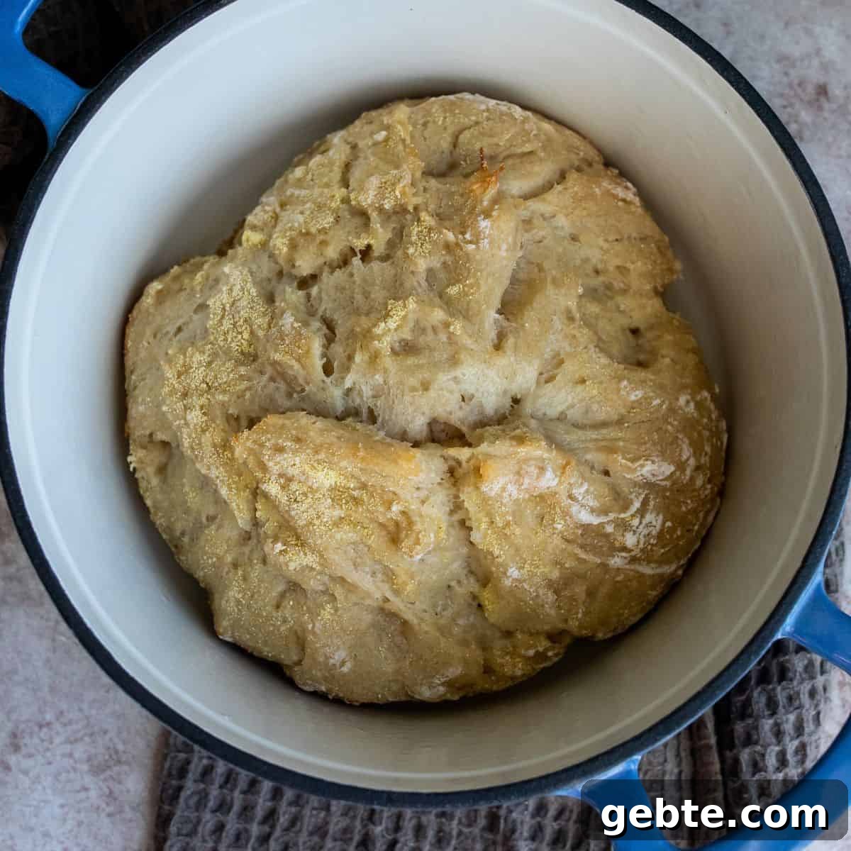 Bread right after the first inital cok. 