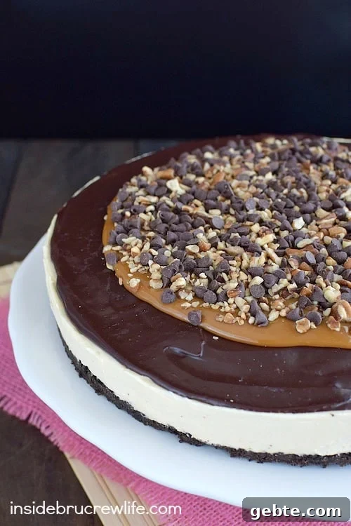 Chocolate Caramel Cheesecake Tart - layers of cheesecake, chocolate, caramel, and nuts will have you reaching for another slice in a hurry. Chocolate Caramel Cheesecake Tart - layers of cheesecake, chocolate, caramel, and nuts will have you reaching for another slice in a hurry.