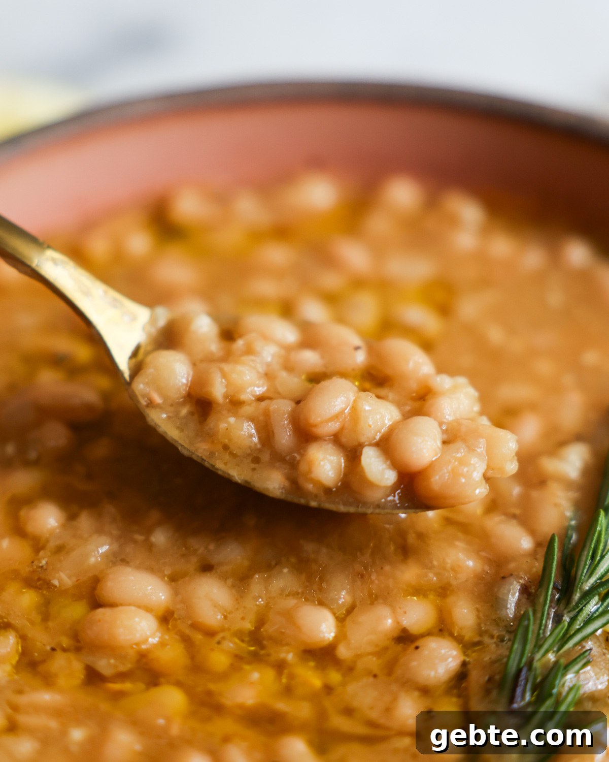 Creamy Instant Pot White Beans with Lemon and Rosemary 2 An up-close shot of a spoonful of Instant Pot white beans with lemon and rosemary