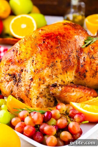 Perfectly browned oven roasted whole turkey.