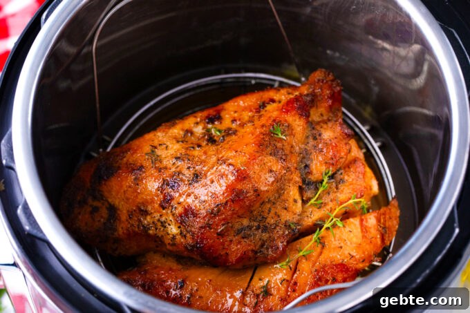 Cooked turkey breast in the Instant Pot.