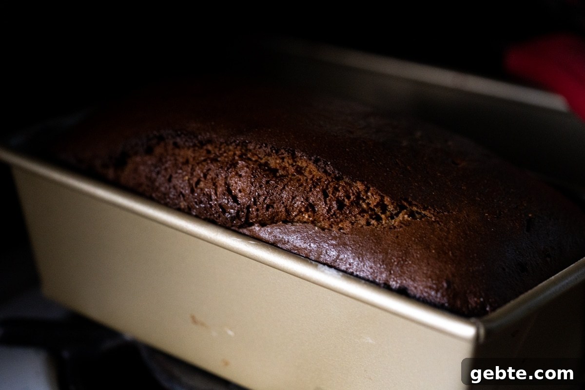 Freshly baked low carb gingerbread loaf showing a good rise 