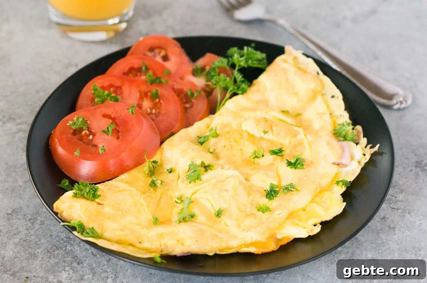 American style omelet on a plate with tomato slices