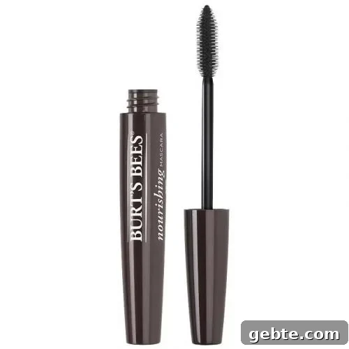Non-Toxic Drugstore Mascara Brands: 8+ Natural Picks That Work 9 is-burts-bees-mascara-toxic