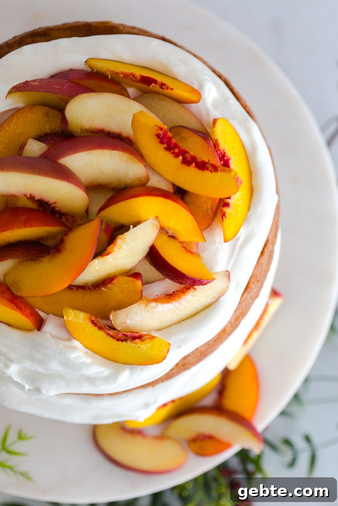 Nectarine and Crème with Pink Peppercorn Honey Cake Recipe 14 Nectarines and Creme Pink Peppercorn Honey Cake from above