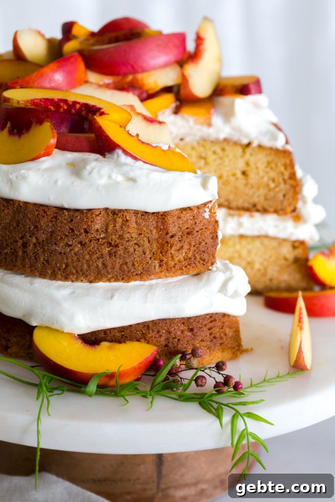 Nectarine and Crème with Pink Peppercorn Honey Cake Recipe 18 Beautiful Nectarines and Creme Pink Peppercorn Honey Cake