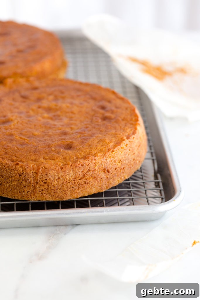 Nectarine and Crème with Pink Peppercorn Honey Cake Recipe 3 Pink Peppercorn Honey Cakes cooling