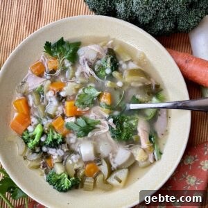 Barley, vegetable and chicken soup