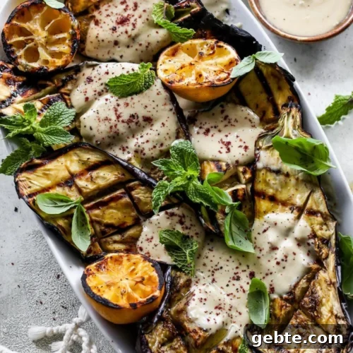 63 Flavorful Grilled Vegetable Recipes for Every Meal 15 img 16756 14