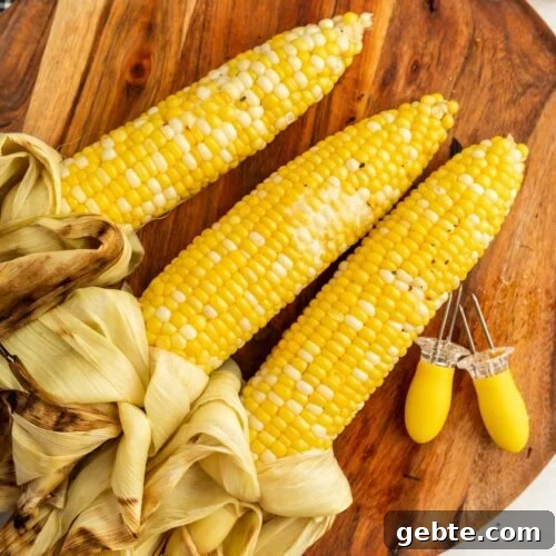 63 Flavorful Grilled Vegetable Recipes for Every Meal 17 img 16756 16