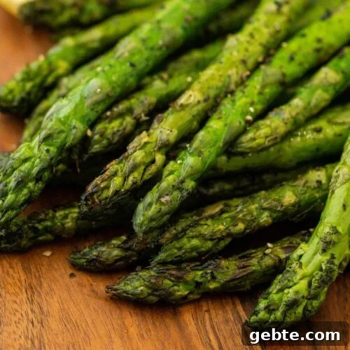 63 Flavorful Grilled Vegetable Recipes for Every Meal 21 Fresh roasted asparagus spears with slightly charred tips. Perfect for healthy meals and side dishes.