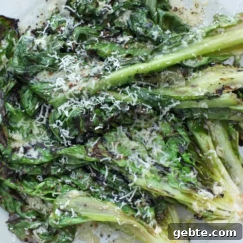63 Flavorful Grilled Vegetable Recipes for Every Meal 24 img 16756 23