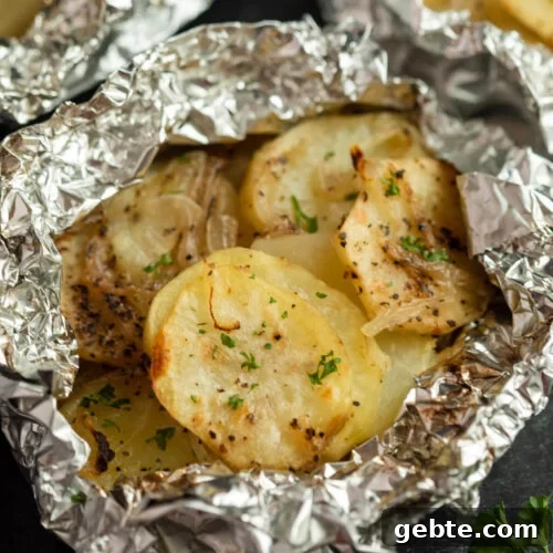 63 Flavorful Grilled Vegetable Recipes for Every Meal 42 Baked potatoes in foil packets.