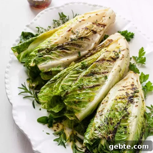 63 Flavorful Grilled Vegetable Recipes for Every Meal 45 img 16756 44