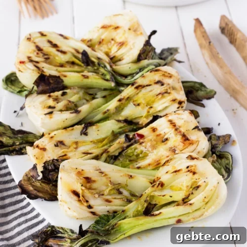 63 Flavorful Grilled Vegetable Recipes for Every Meal 51 img 16756 50